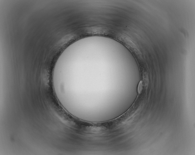 X0000108480255200904171617