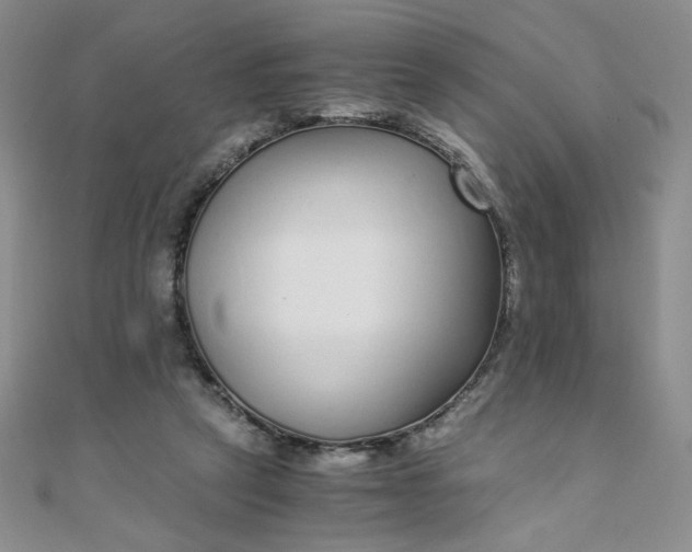 X0000108480257200904171617