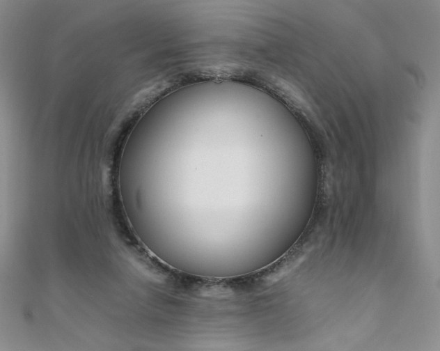 X0000108480258200904171617