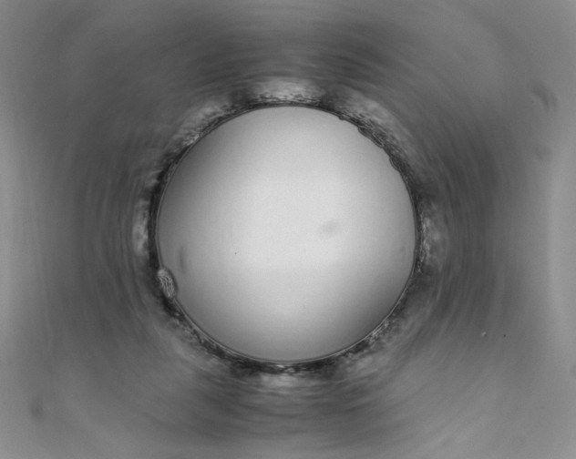 X0000108480259200904171617