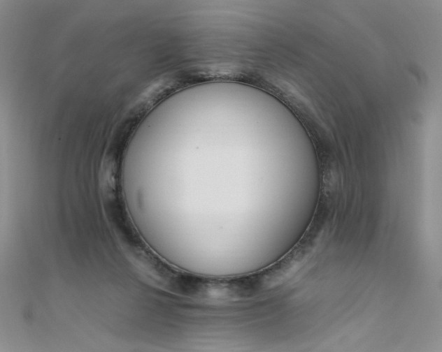 X0000108480264200904171617