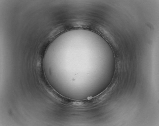 X0000108480265200904171617