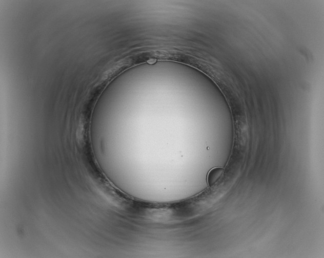 X0000108480266200904171617
