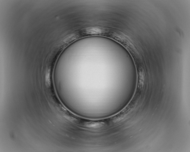 X0000108480267200904171617