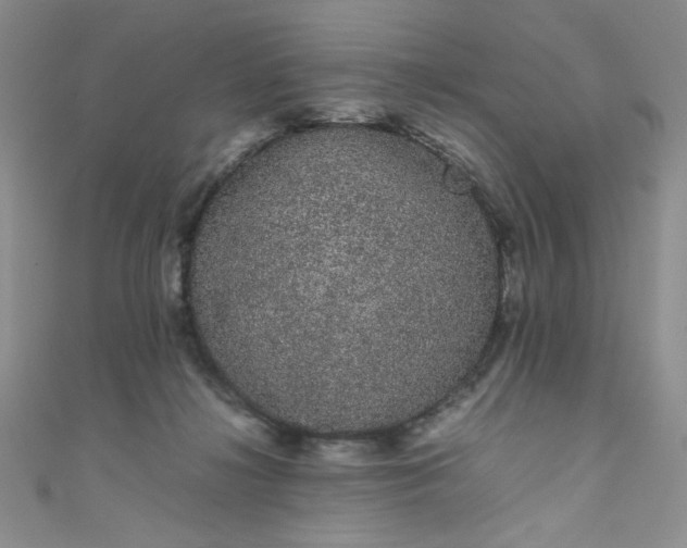 X0000108480268200904171617
