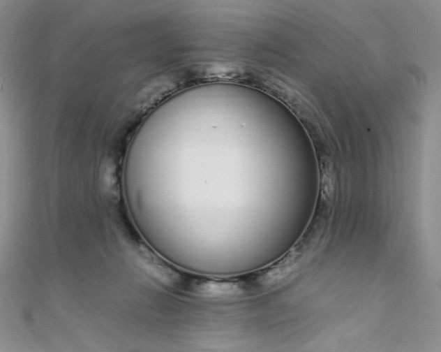 X0000108480270200904171617