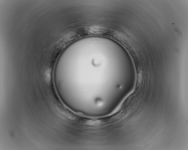 X0000108480271200904171617