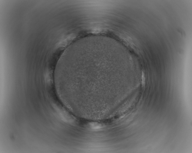X0000108480272200904171617