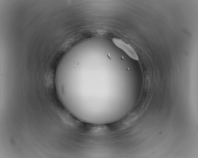 X0000108480274200904171617