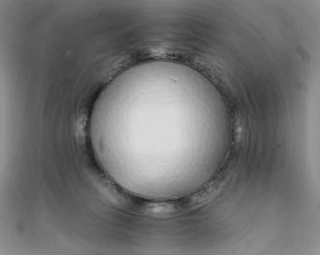 X0000108480275200904171617