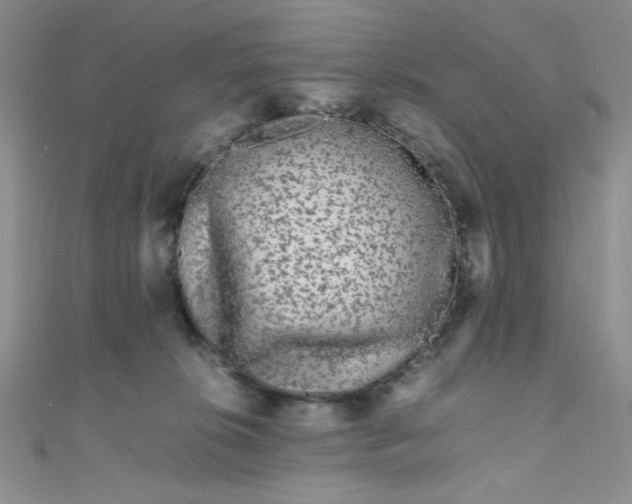 X0000108480276200904171617
