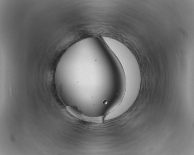 X0000108480278200904171617