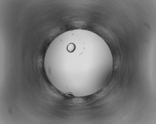 X0000108480279200904171617