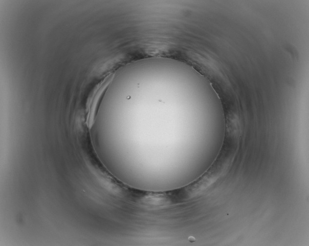 X0000108480280200904171617