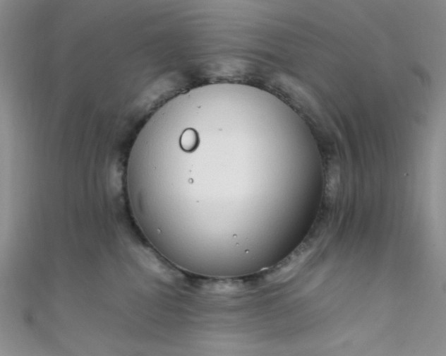 X0000108480282200904171617