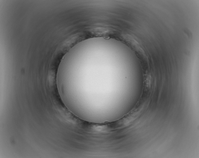 X0000108480283200904171617