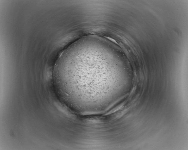 X0000108480284200904171617