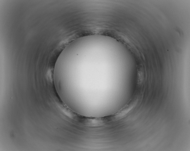 X0000108480286200904171617