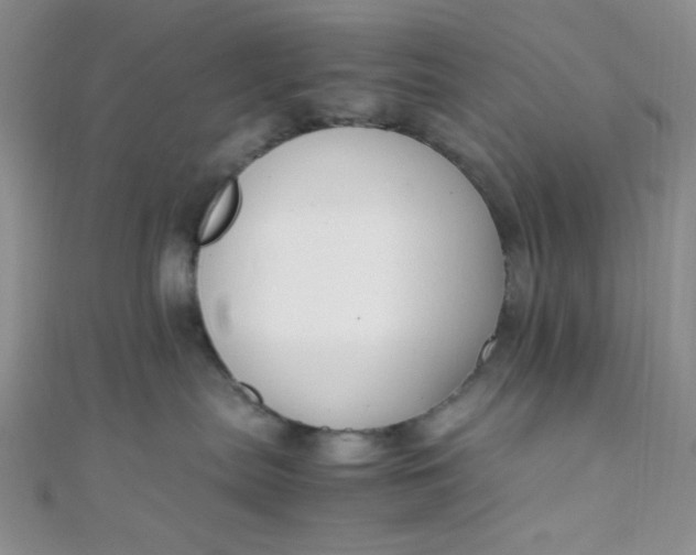 X0000108480287200904171617