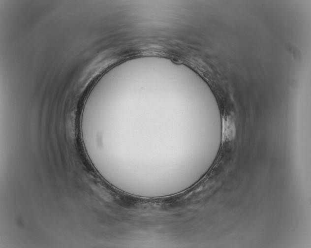 X0000108480291200904171617
