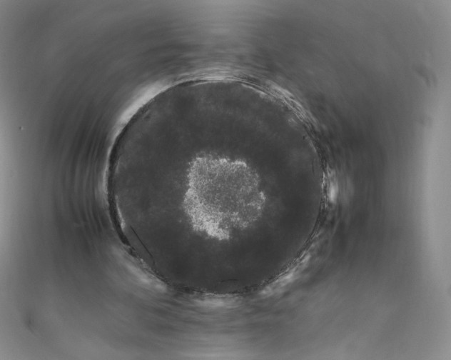 X0000108480292200904171617
