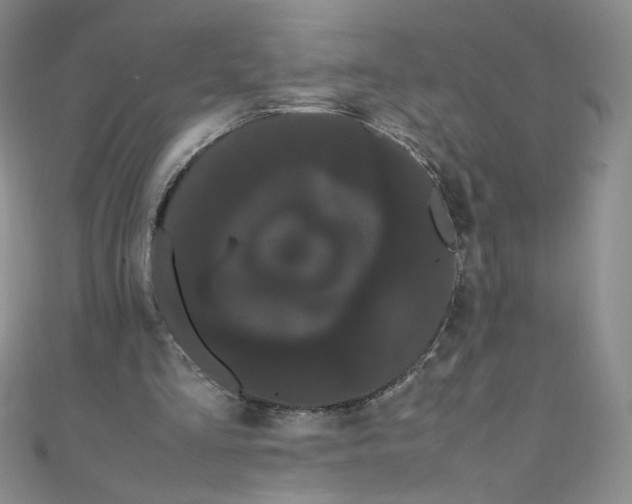 X0000108480293200904171617
