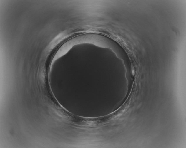 X0000108480295200904171617