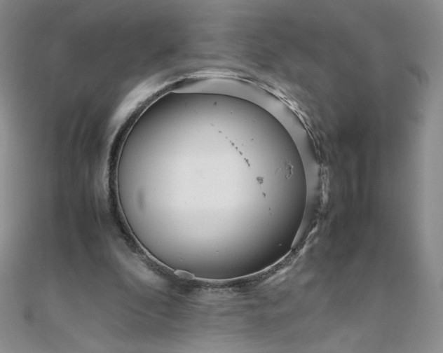 X0000108480296200904171617