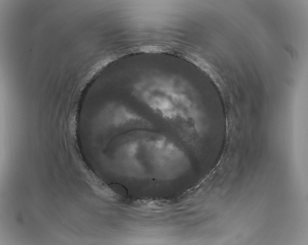 X0000108480297200904171617