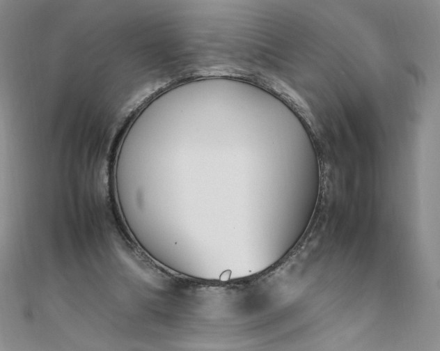 X0000108480298200904171617