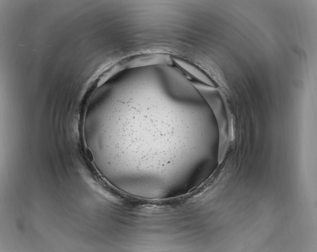 X0000108480300200904171617