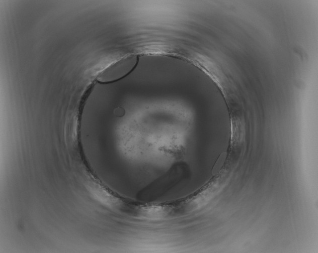 X0000108480301200904171617