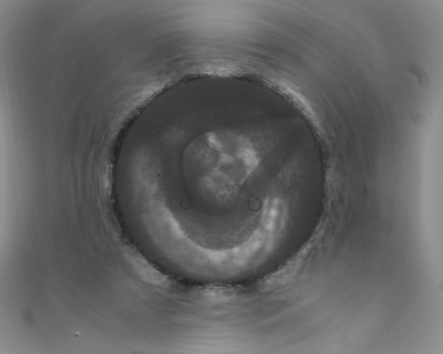 X0000108480305200904171617