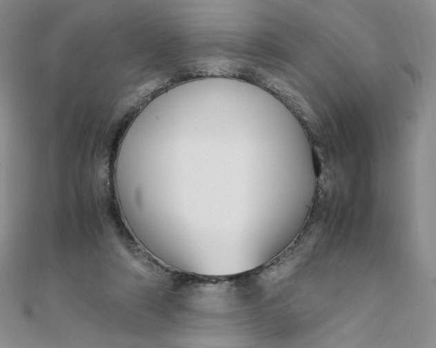 X0000108480306200904171617
