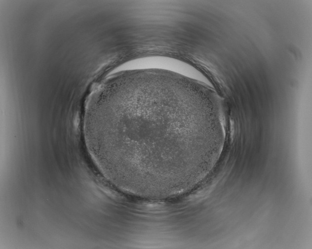 X0000108480308200904171617