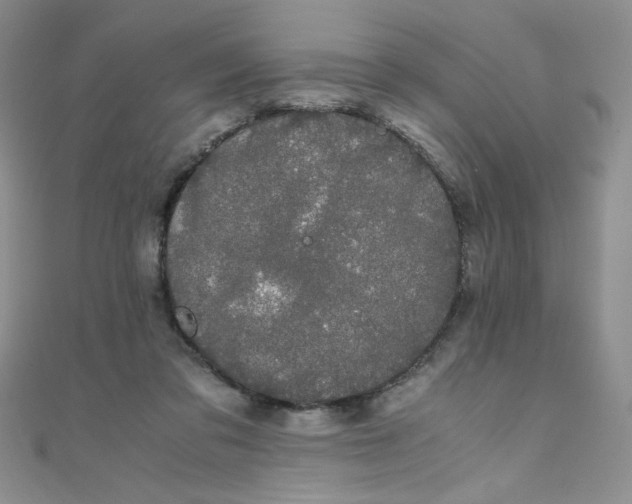 X0000108480309200904171617