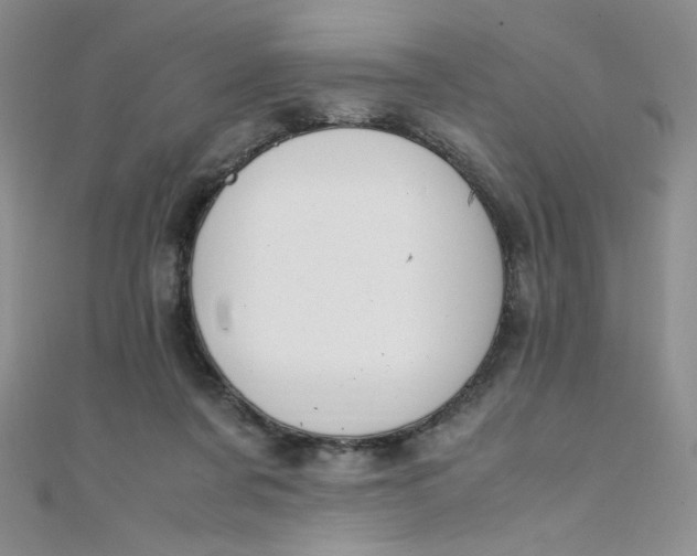 X0000108480311200904171616
