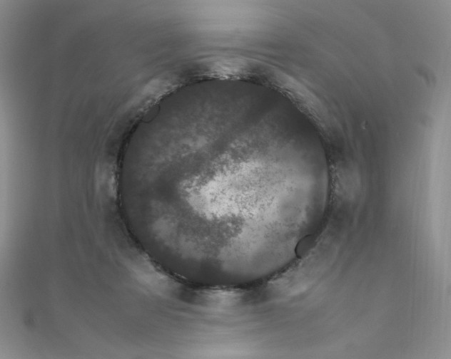 X0000108480313200904171616