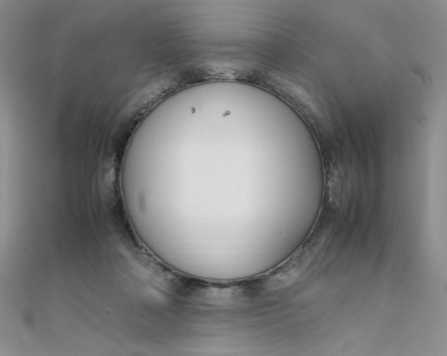 X0000108480314200904171616