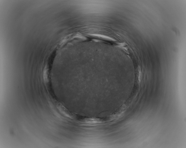 X0000108480316200904171616