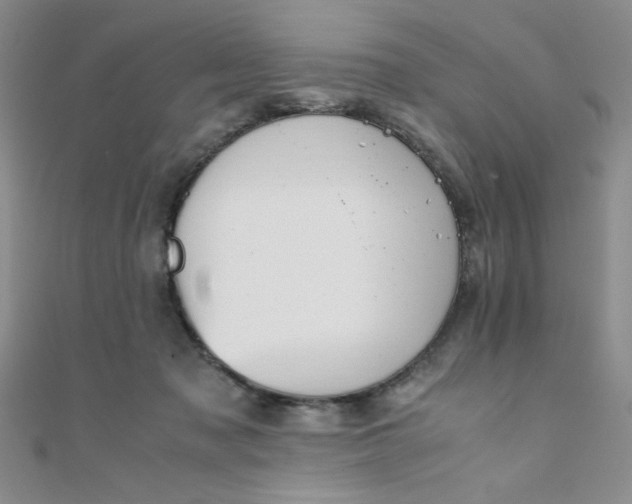X0000108480317200904171616