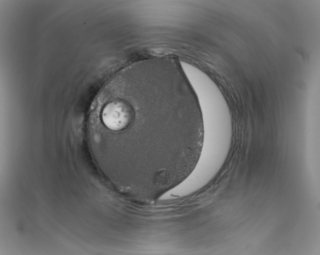 X0000108480319200904171616