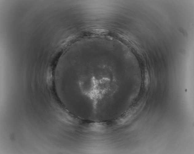 X0000108480320200904171616