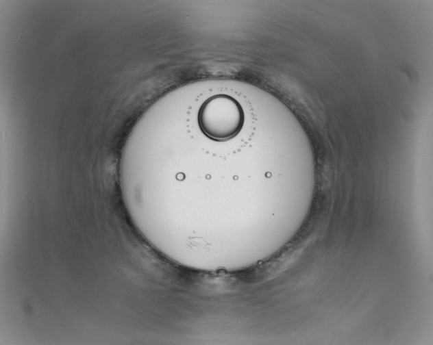 X0000108480321200904171616