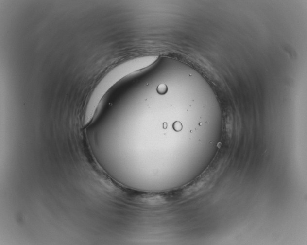 X0000108480322200904171616