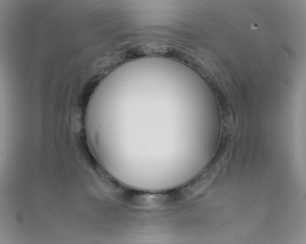 X0000108480323200904171616