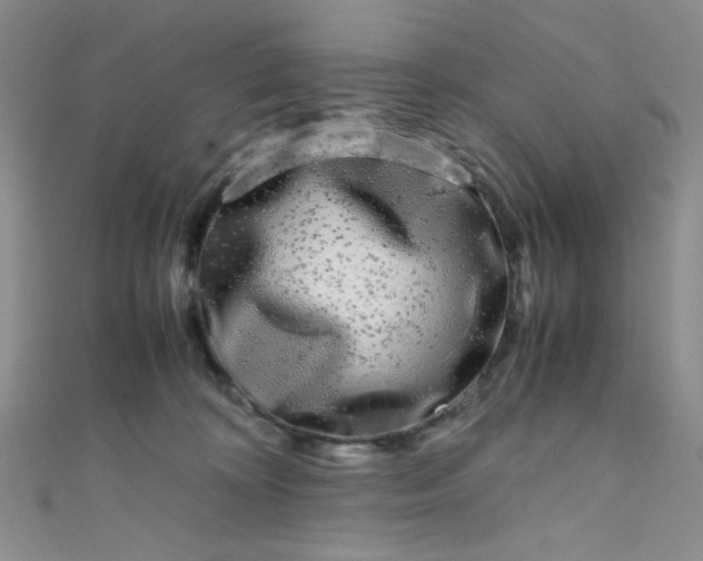X0000108480324200904171616
