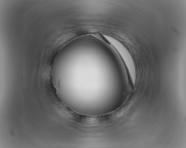 X0000108480325200904171616