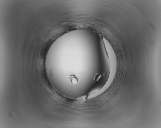X0000108480327200904171616