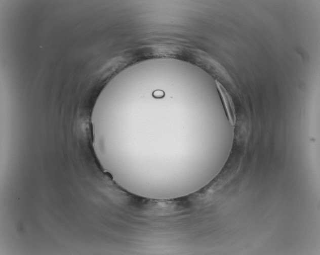 X0000108480329200904171616